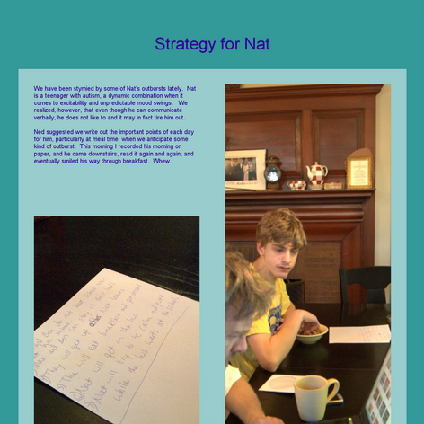 Tabblo: Strategy for Nat